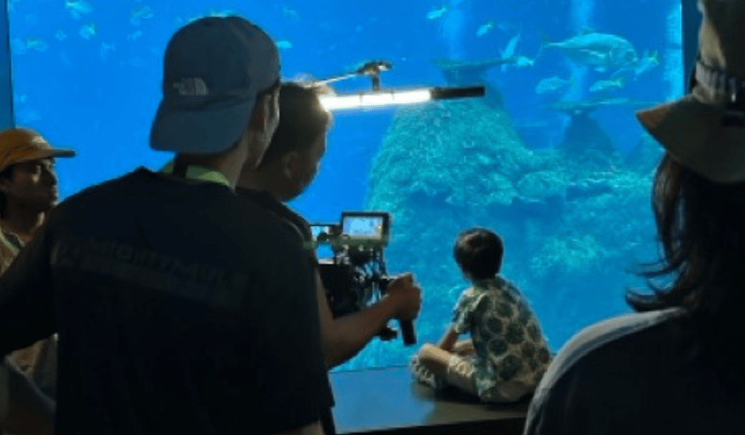 The Digital Handshake: Why the Talking Head Video is Your Most Powerful Trust Signal