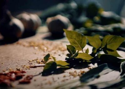 The Garden that Feeds