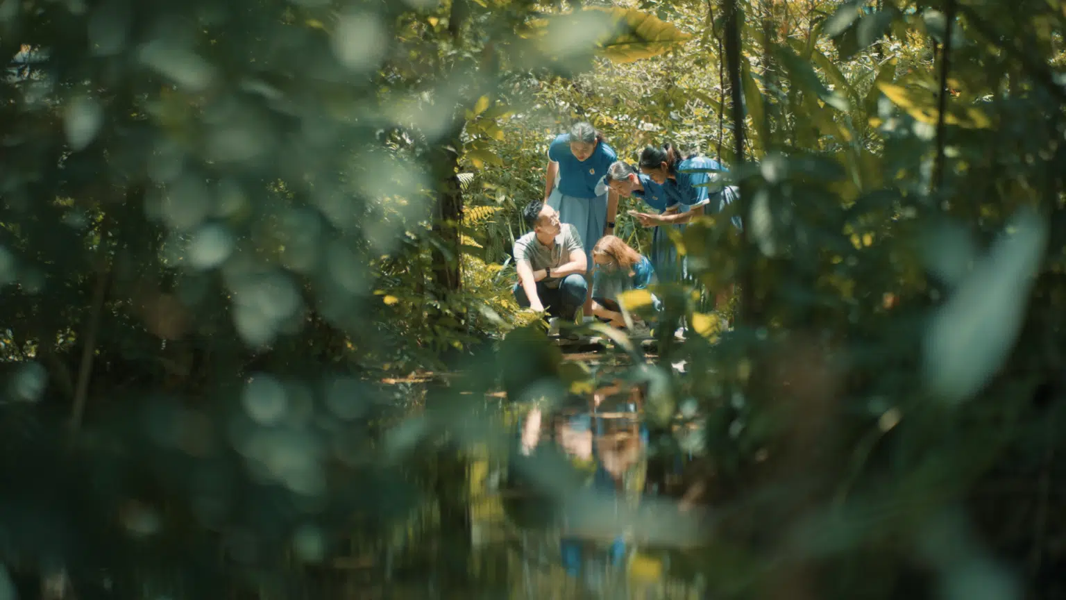 PUB | PAE Recipients’ Video - Weave