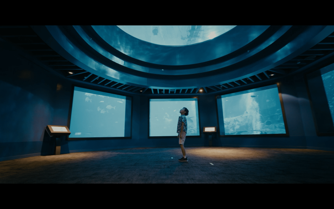 Resorts World Sentosa | Ocean Fest (Director’s Cut)