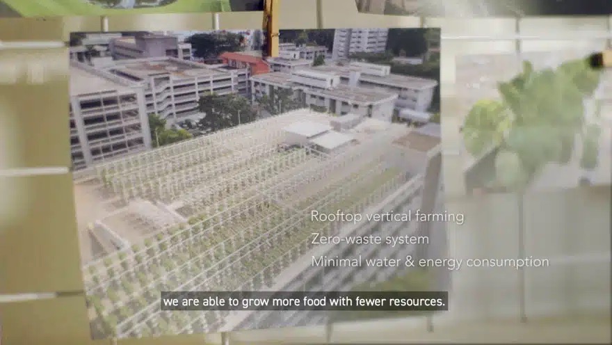 SFA-The-Singapore-Food-Story-11 | Weave