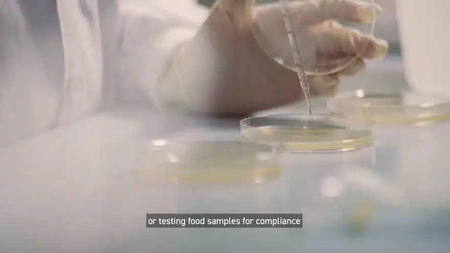 SFA-The-Singapore-Food-Story-18 | Weave